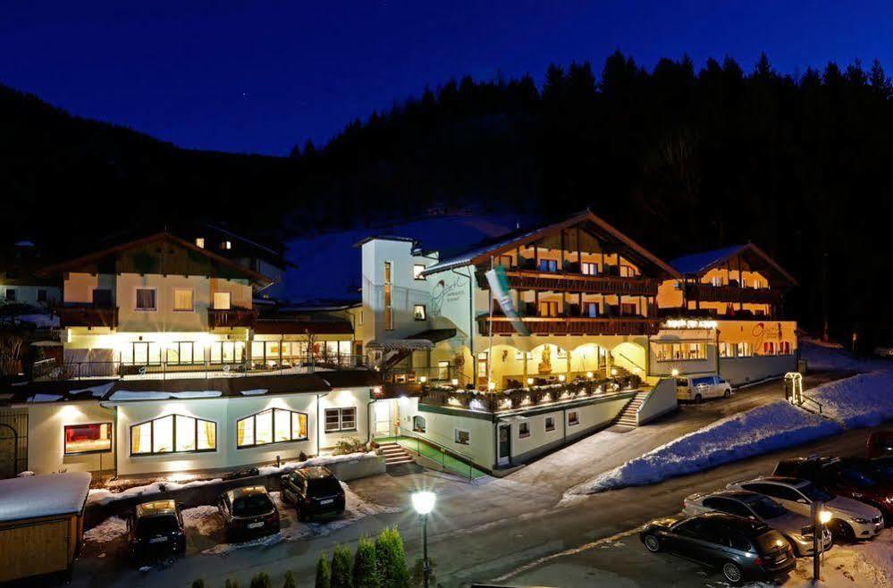 Panoramahotel Guertl Хаус-им-Энншталь Экстерьер фото
